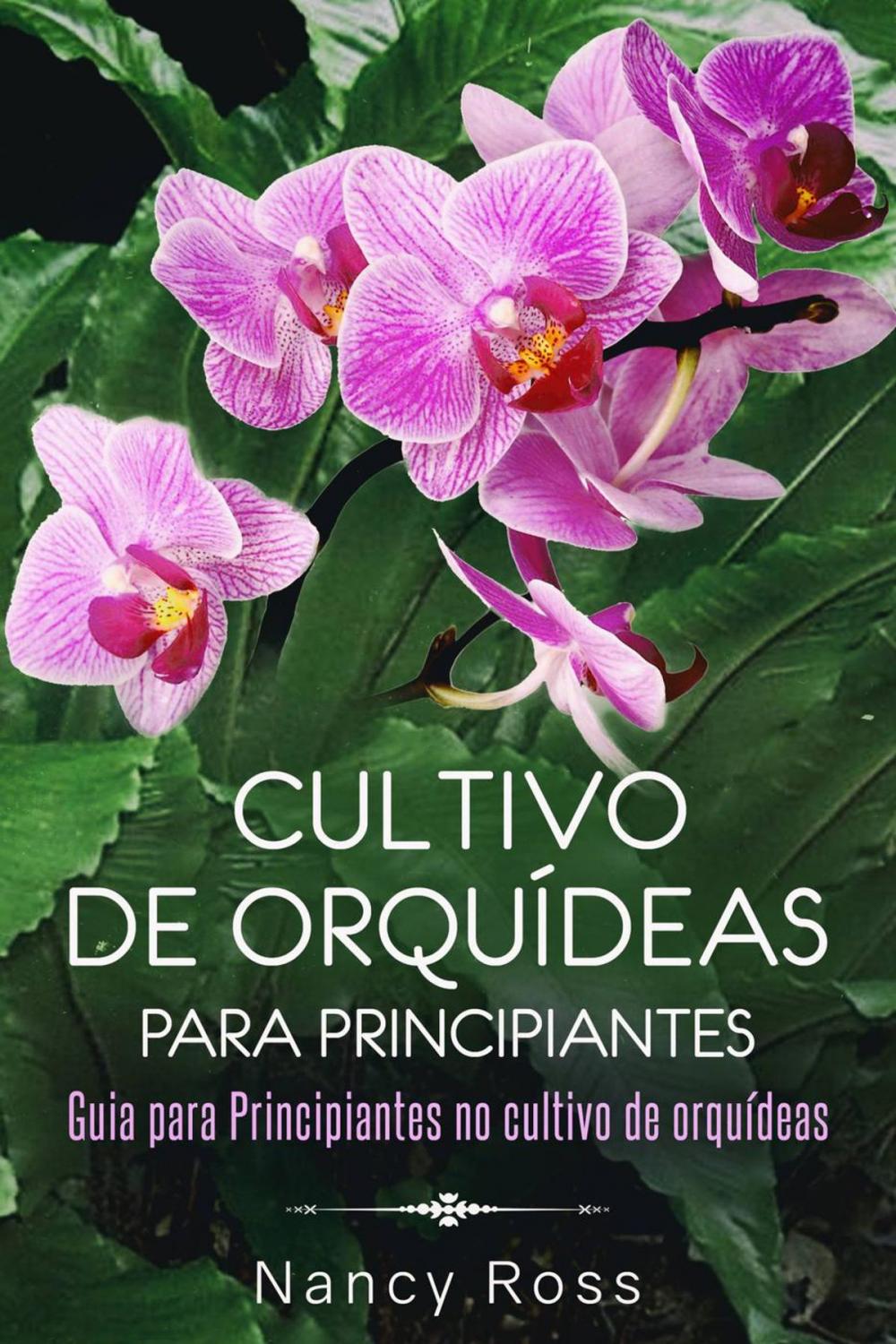 Big bigCover of Cultivo de Orquídeas para Principiantes Guia para Principiantes no cultivo de orquídeas