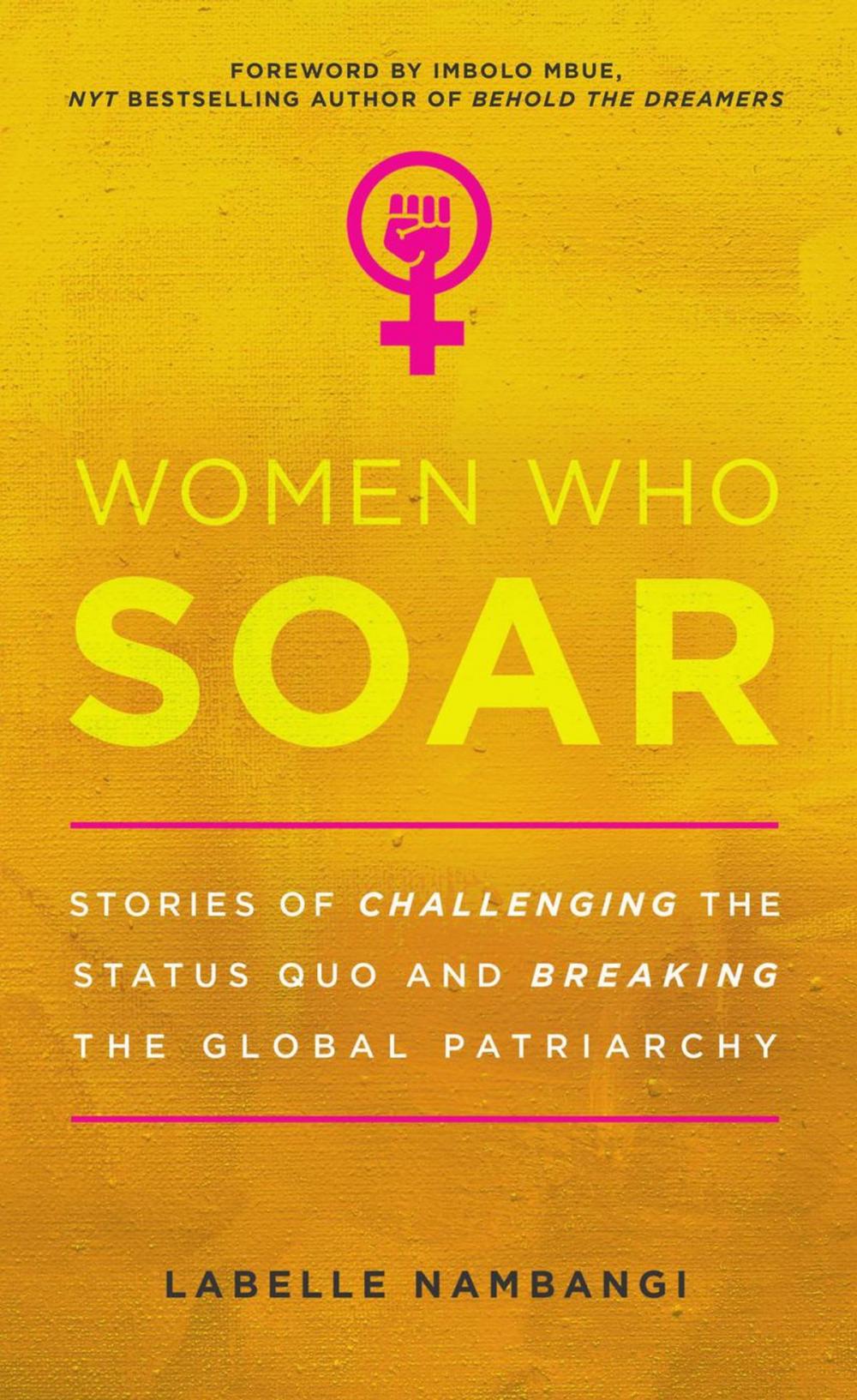 Big bigCover of Women Who Soar: Stories of Challenging the Status Quo and Breaking the Global Patriarchy