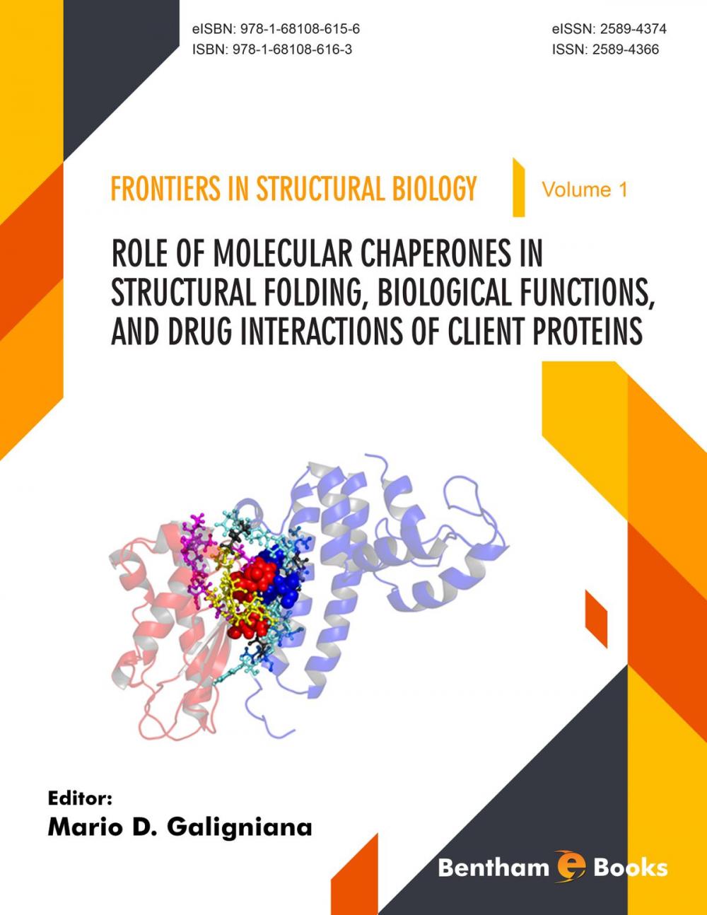 Big bigCover of Role of Molecular Chaperones on Structural Folding, Biological Functions, and Drug Interactions of Client Proteins