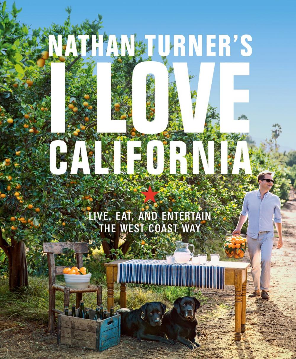 Big bigCover of Nathan Turner's I Love California