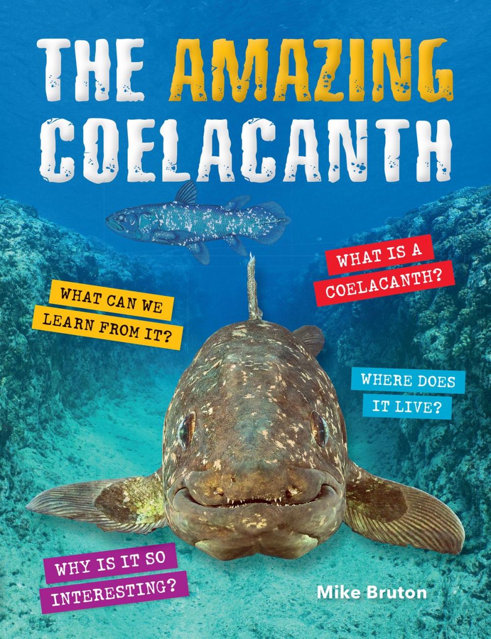 Big bigCover of The Amazing Coelacanth