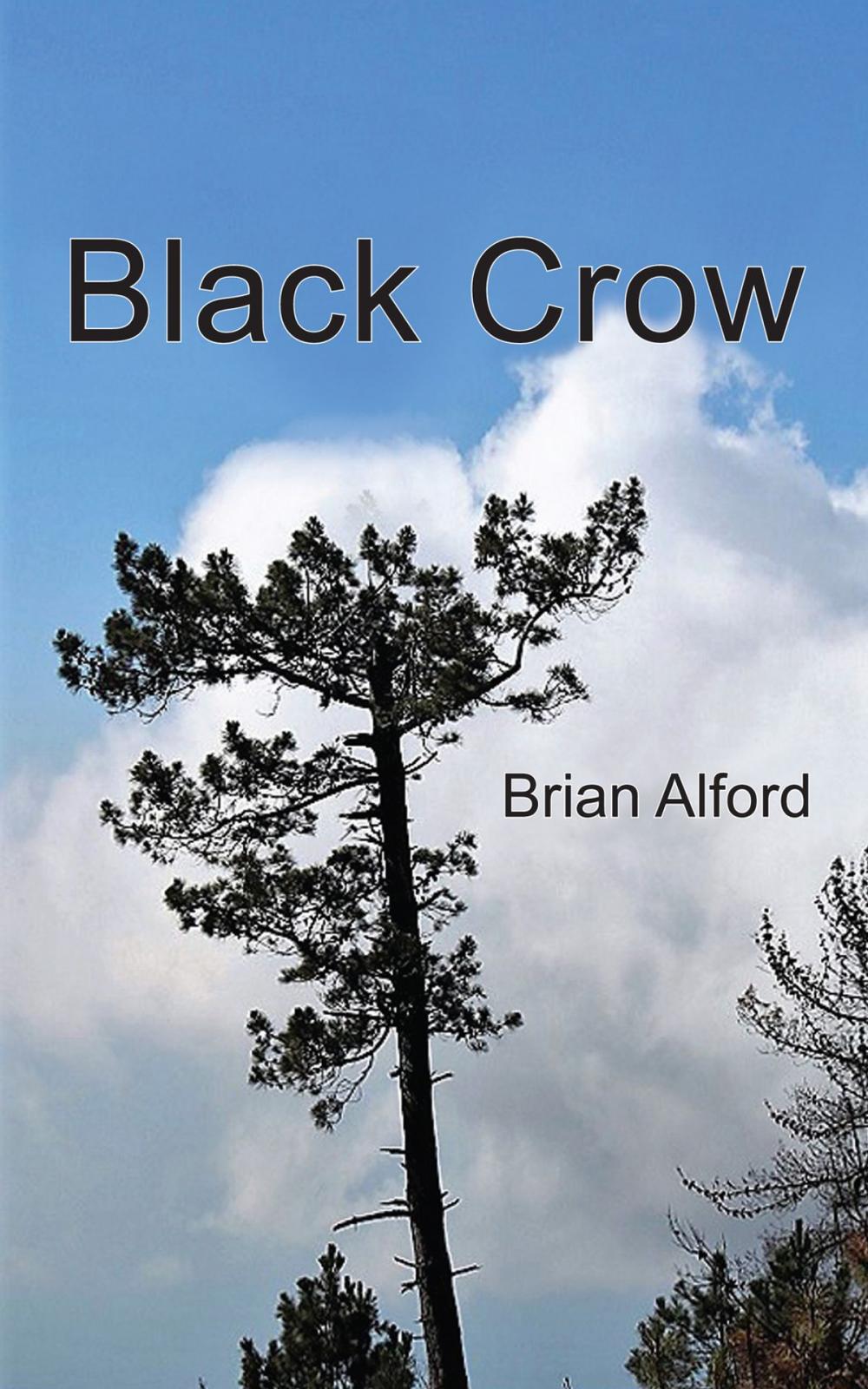Big bigCover of Black Crow