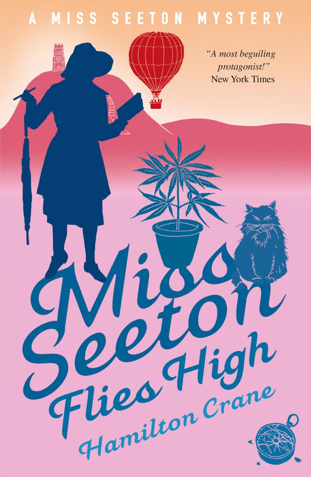 Big bigCover of Miss Seeton Flies High