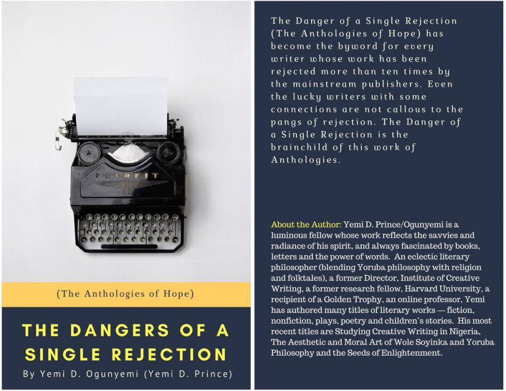 Big bigCover of The Danger of a Single Rejection