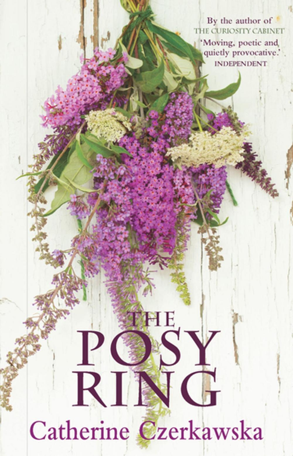 Big bigCover of The Posy Ring
