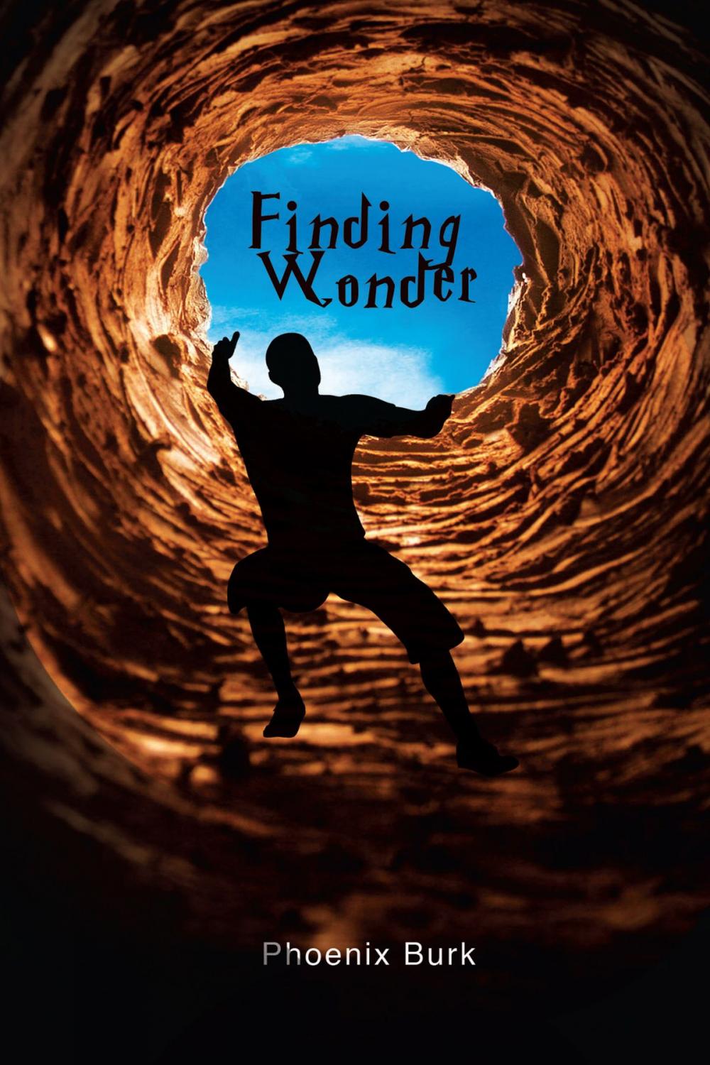 Big bigCover of Finding Wonder