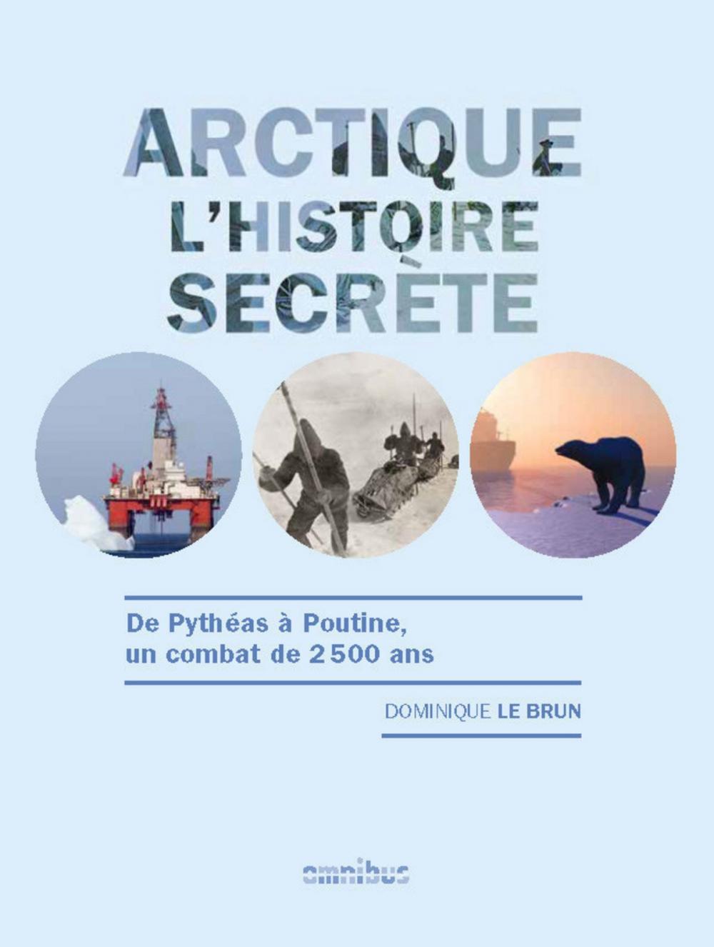 Big bigCover of Arctique - L'histoire secrète