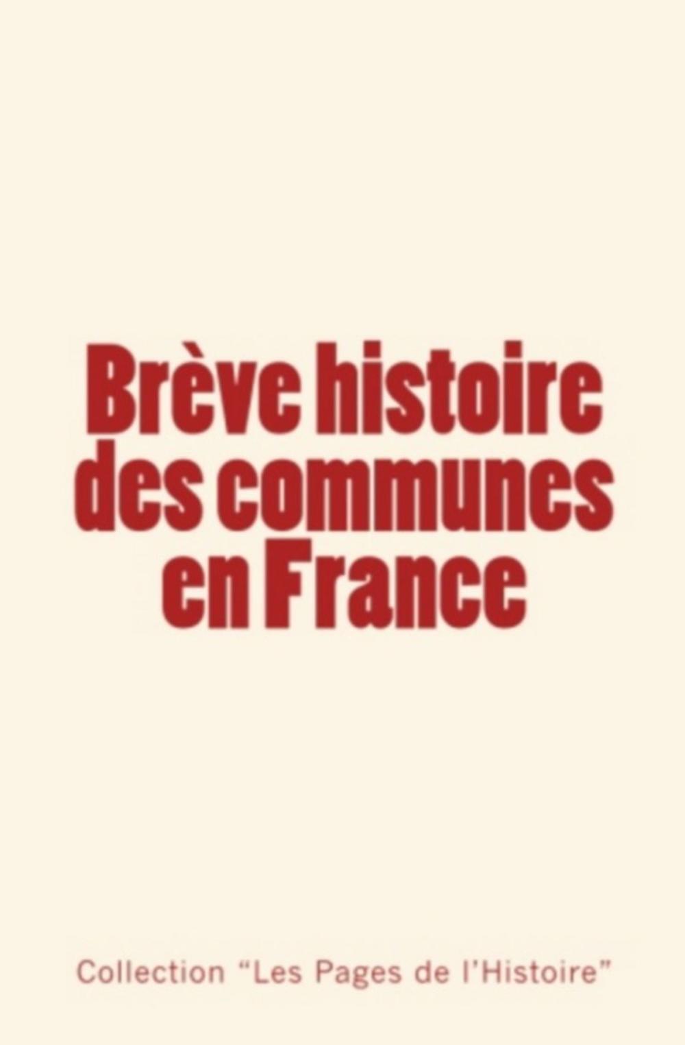 Big bigCover of Brève histoire des communes en France