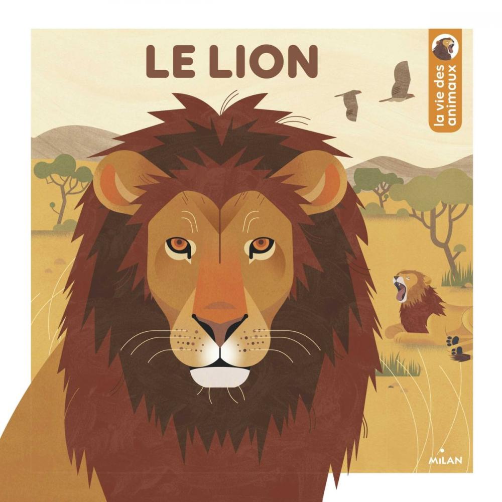 Big bigCover of Le lion