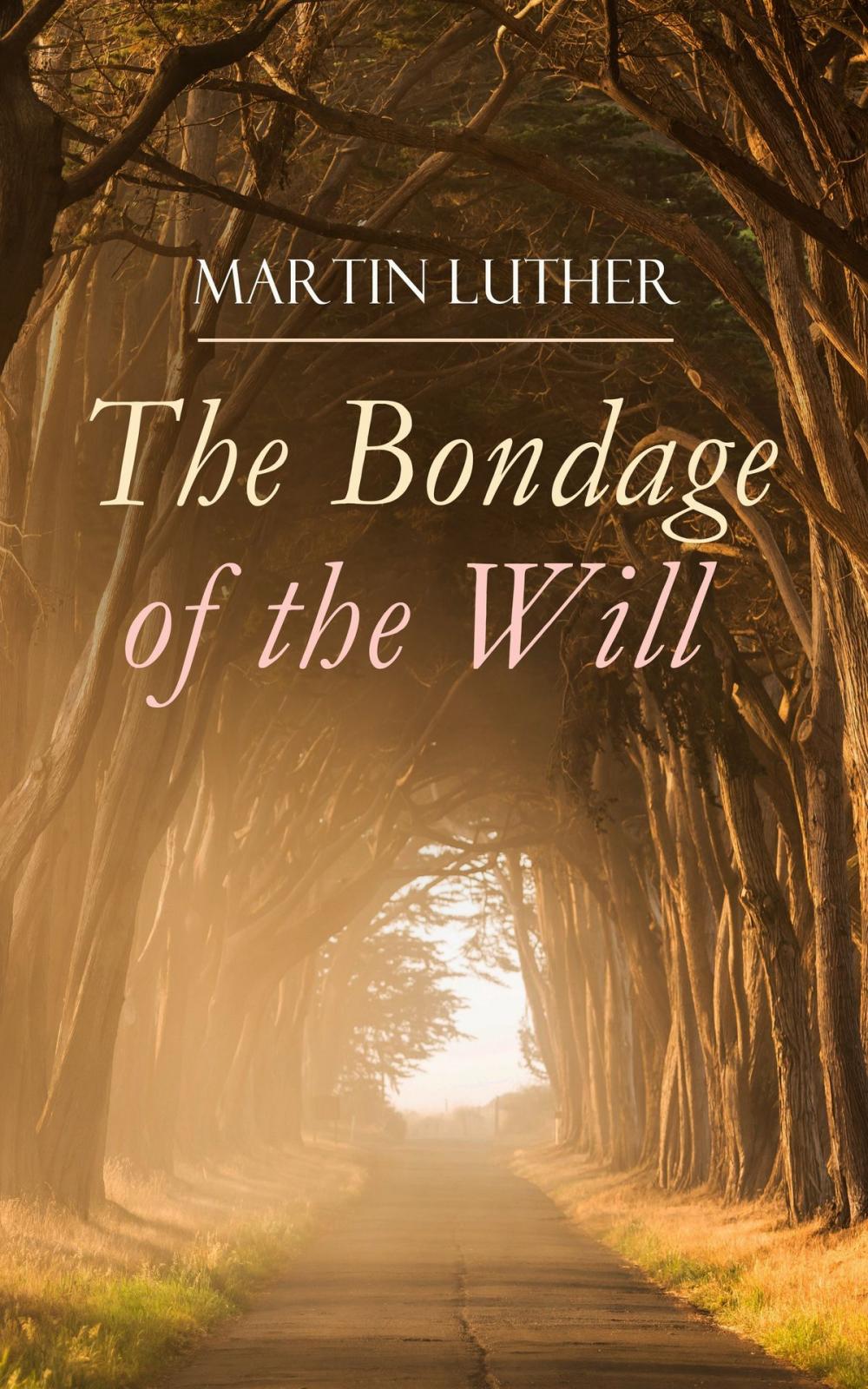 Big bigCover of The Bondage of the Will