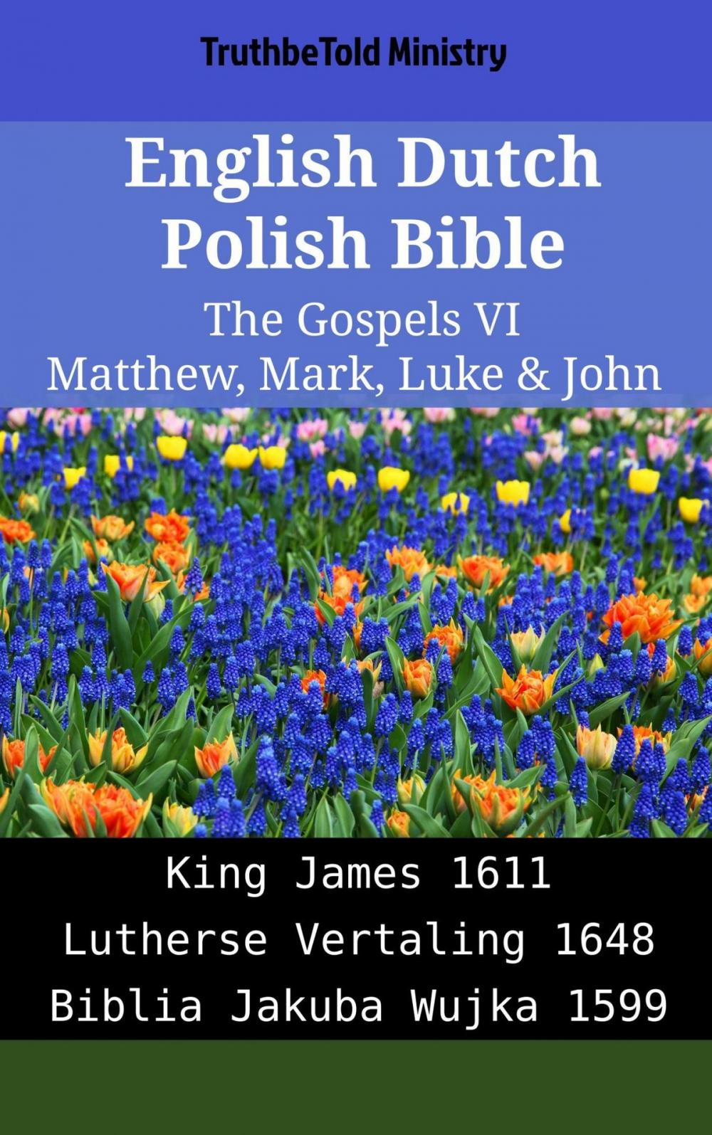 Big bigCover of English Dutch Polish Bible - The Gospels VI - Matthew, Mark, Luke & John