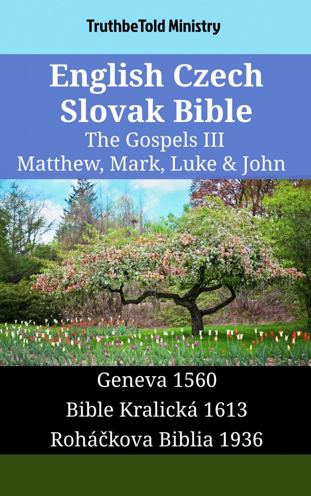 Big bigCover of English Czech Slovak Bible - The Gospels III - Matthew, Mark, Luke & John