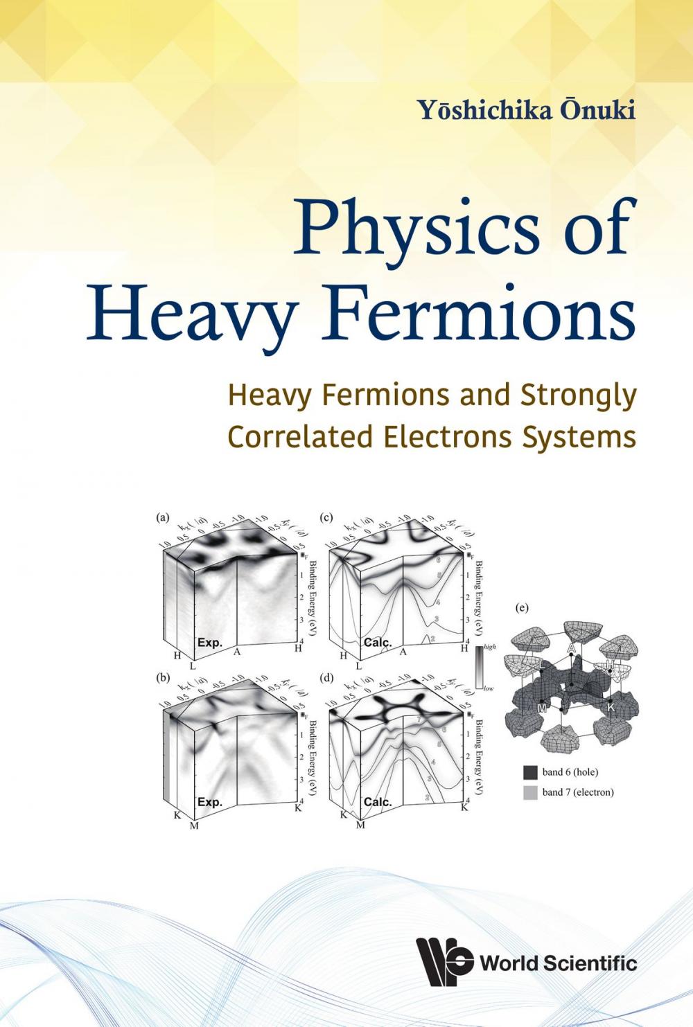 Big bigCover of Physics of Heavy Fermions