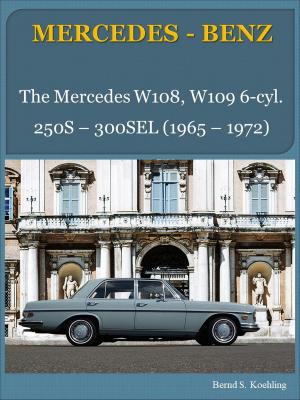 Cover of the book Mercedes-Benz W108, W109 six-cylinder with buyer's guide and chassis number/data card explanation by Abdou Karim GUEYE