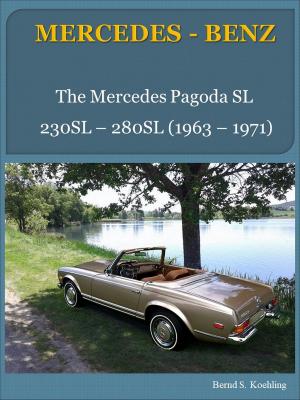 Cover of Mercedes-Benz W113 Pagoda SL with buyer's guide and chassis number/data card explanation
