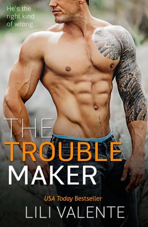 bigCover of the book The Troublemaker by 