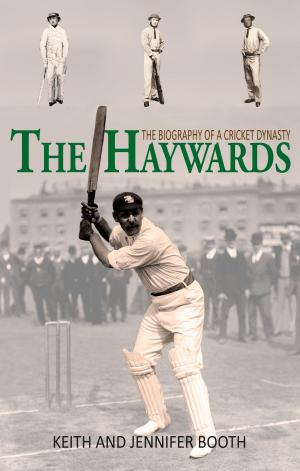 Cover of the book The Haywards by PJ O'Donnell