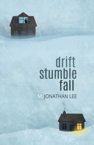 Book cover of Drift Stumble Fall