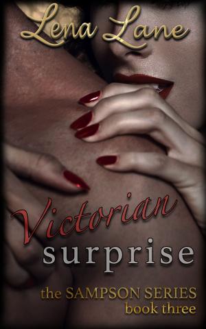 Cover of the book Victorian Surprise by S M Spencer