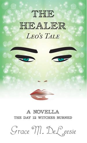 Book cover of The Healer-Leo's Tale