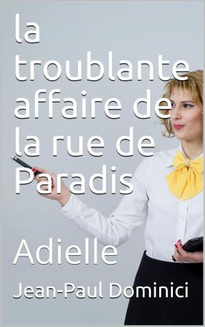 Book cover of La troublante affaire de la rue de Paradis