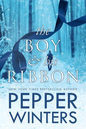 Cover of the book The Boy & His Ribbon by Cindy Cumby