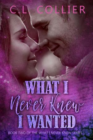 Cover of the book What I Never Knew I Wanted by J.S. Anne