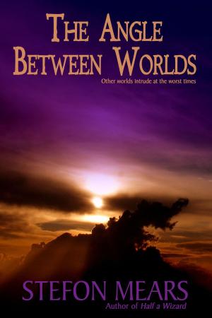 Cover of the book The Angle Between Worlds by Amanda Dery