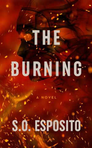 Cover of The Burning: A Psychological Suspense