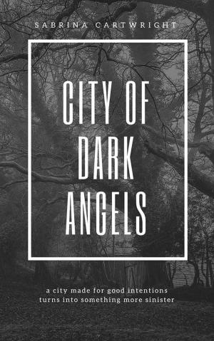 Cover of the book City of Dark Angels by zurian qariuqi