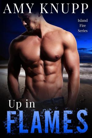 Cover of the book Up in Flames by Amy Knupp, Natasha Lake, Emily Leigh