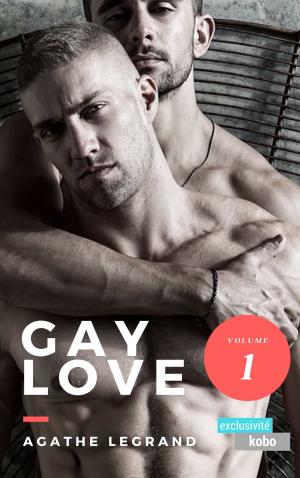 Cover of Gay Love (Vol. 1)