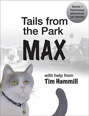 Cover of the book Tails from the Park by J L STUART