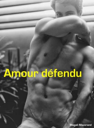 Book cover of Amour défendu