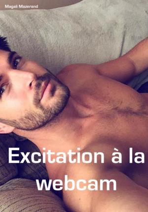 Cover of the book Excitation à la webcam by Kelly Haven
