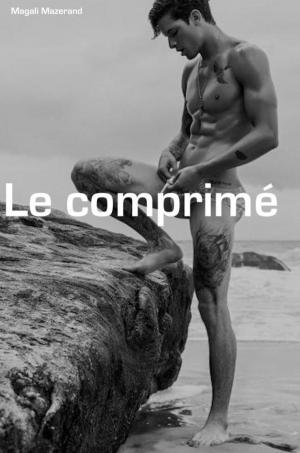 Book cover of Le comprimé