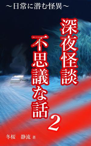 Cover of the book 深夜怪談　不思議な話2 by Pam Stewart