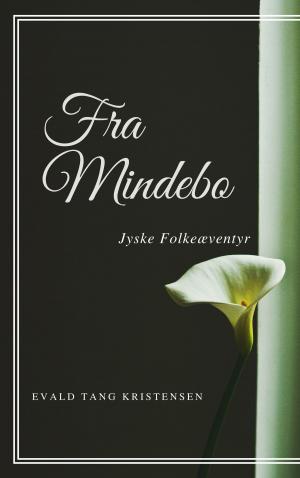 Cover of the book Fra Mindebo by Bev Haynes