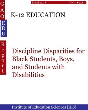 Cover of the book K-12 EDUCATION by Blake Stone