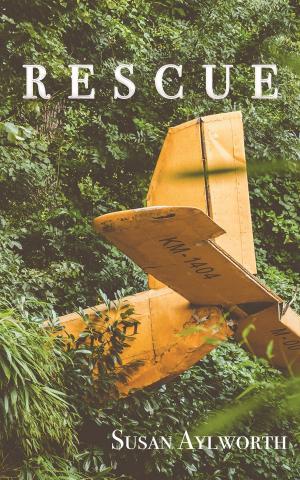 Cover of the book Rescue by Christopher C. Dimond