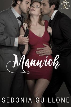 Cover of the book Manwich by Jyll Stonecypher