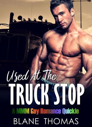 Book cover of Used At The Truck Stop