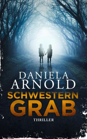 Cover of the book Schwesterngrab by Steve Sporleder