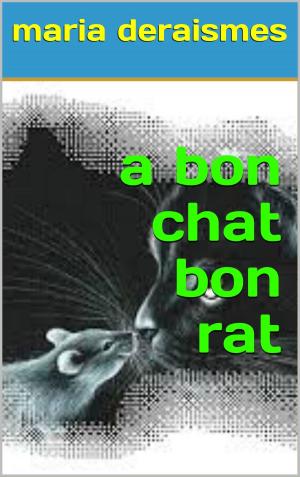 Cover of the book a bon chat bon rat by paul féval