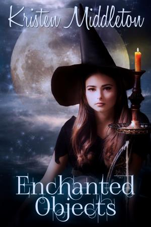 Book cover of Enchanted Objects