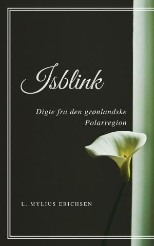 Book cover of Isblink (Illustreret)