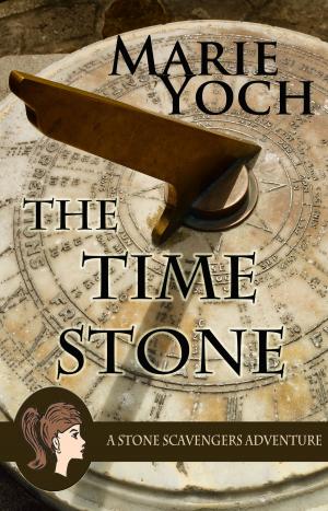 bigCover of the book The Time Stone by 