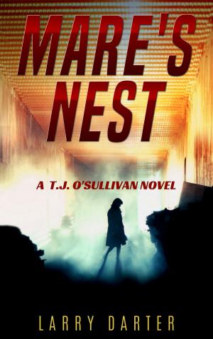 Cover of the book Mare's Nest by Dale Amidei