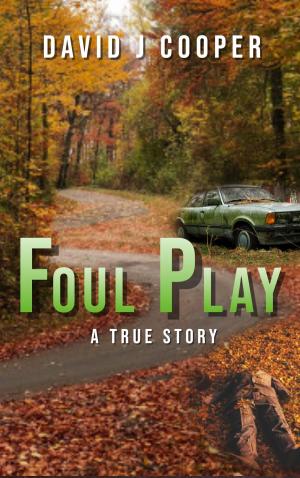 Cover of the book Foul Play by David J Cooper