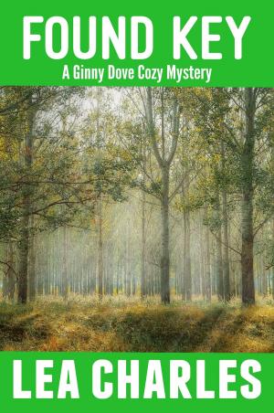 Cover of the book Found Key by M.K. Coker